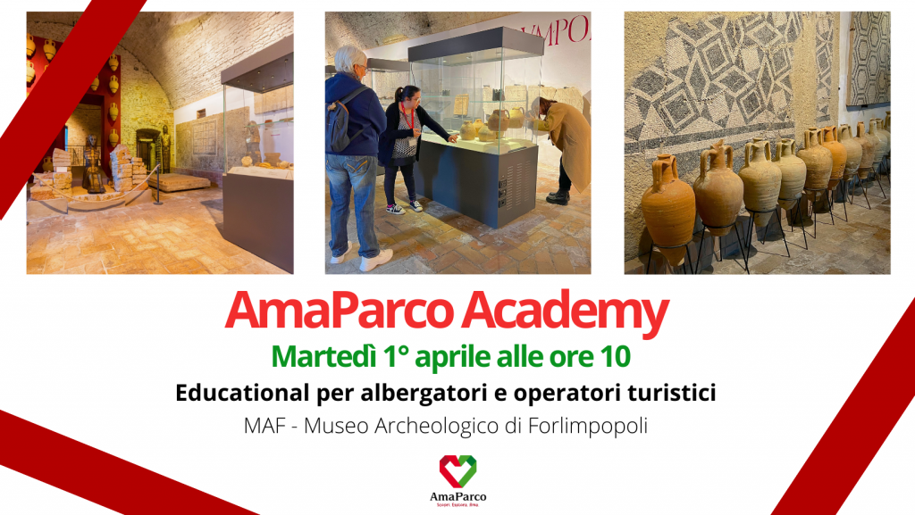 amaparco academy