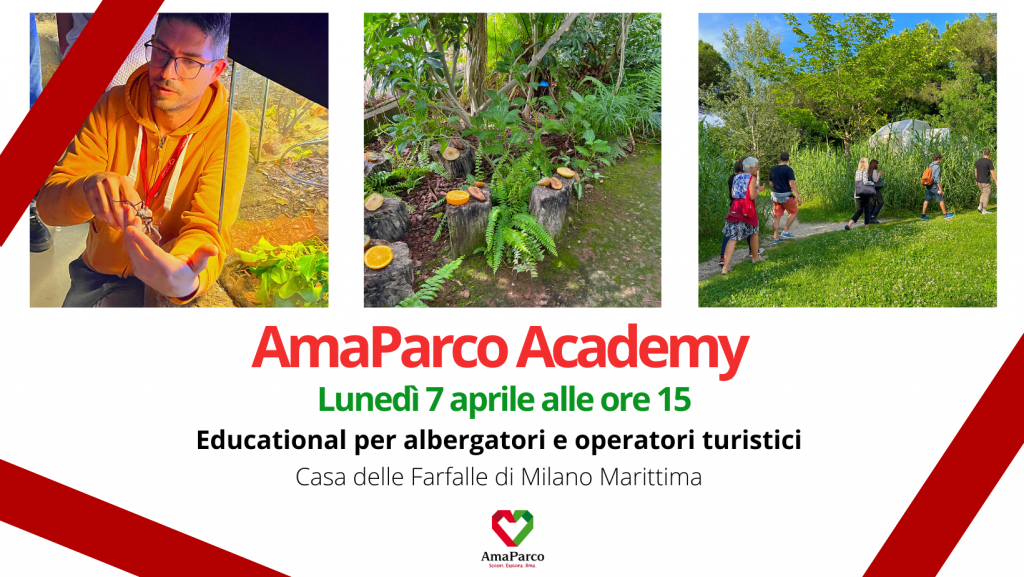 AmaParco Academy