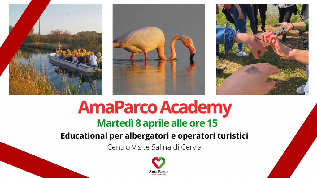 AmaParco Academy