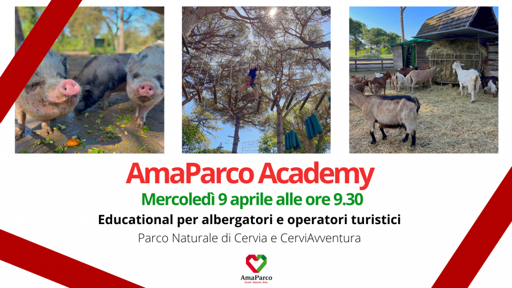 AmaParco Academy